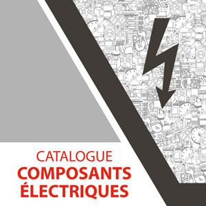 Catalogue pièces détachées composants électriques